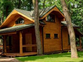 GOL&Wood, hotel a Stepashki