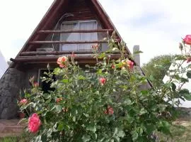 Cabañas Laukan