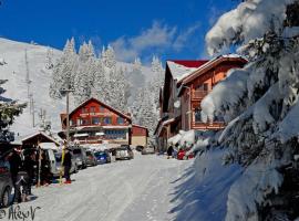 Complex Turistic Alpina Blazna Sant, hotel u gradu 'Şanţ'