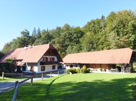 Domačija Šeruga, cabaña o casa de campo en Novo Mesto