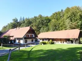 Domačija Šeruga Countryside hotel