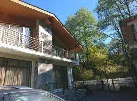 Вилла с комфортом