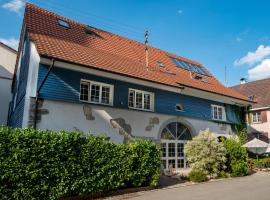 Ferienloft in der blauen Scheune – apartament w mieście Eimeldingen