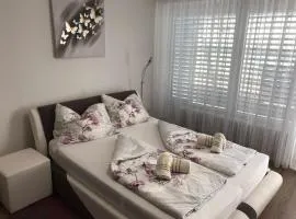 Komfortables Appartement/Garconniere in Graz für Urlaub und Geschäftsreisen