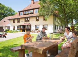 Ferienwohnung Meierhof, haustierfreundliches Hotel in Sankt Märgen