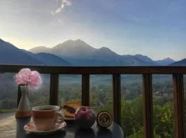 Rizoma Guesthouse