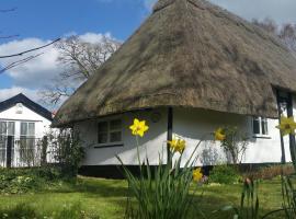 Frogs Hall B&B, hotel di Eye