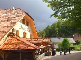 Domačija Vodnik & Apartments, hotel en Cerklje na Gorenjskem