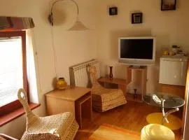 Apartments Bikica