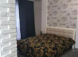 Стильные аппартаменты на Новых Домах