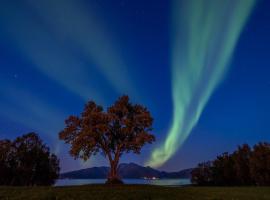 Arctic Garden，勒丁恩的飯店