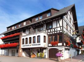 Landgasthof Hotel Hirsch, lyžařské středisko v destinaci Loßburg