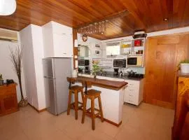 Departamento céntrico San Martín de los Andes