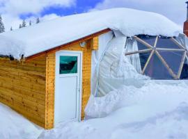Igloo in the Woods - new, warm and inspiring, glamping site in Pamporovo