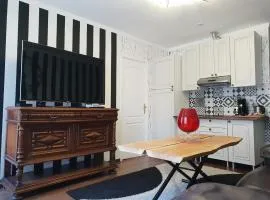 Appartement Centre Bordeaux avec Garage sur demande