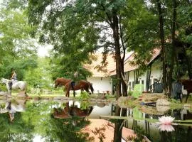 Hunor Lovastanya