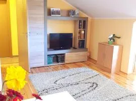 Zlatibor Apartmani DM Tornik