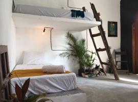 Black Jaguar Hostel, hotel di Bacalar