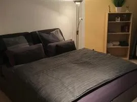 Kleine Wohnung im Grünen