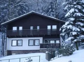 Chalet in Dolní Brusnice near Ski Lift