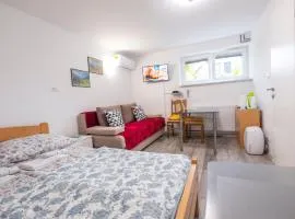 Studio Southwest 2 semi-basement