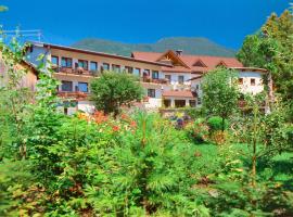 Alpenpension Birkenhof, hotel v destinaci Grünau im Almtal