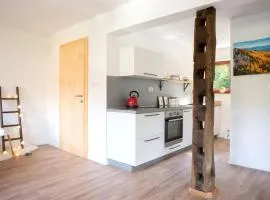 Woodywood house Bohinj