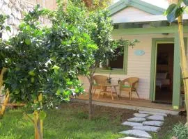 Anat's Cabin הצימר של ענת