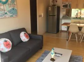 Centrico departamento en Pucon