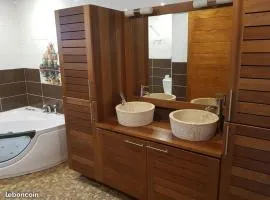 LILIE97418 VILLA 14 PERSONNES