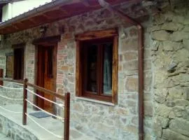 LA RAMA DEL CASTOR