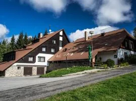 Na Losenici