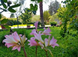 B&B Welcome, hotel v destinaci Pedara