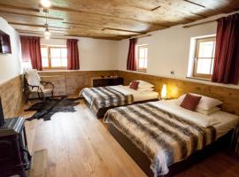Penzion Repnik, ubytovanie typu bed and breakfast v destinácii Kamnik