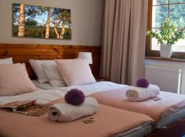 Hotel Górski Czarna Góra、ストロニエ・シロンスキエのロマンチックホテル