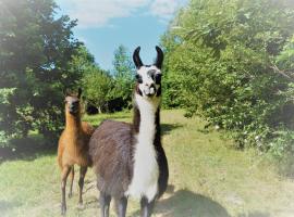 Loire Valley Llama Farm Stay، مكان تخييم فخم في Lavernat