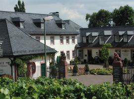 Residenz Weingut Schloss Reinhartshausen, hotel in Eltville