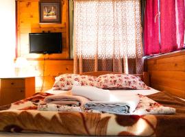 Vila Aleksandar, ξενοδοχείο για ΑμεΑ στο Σμεντέρεβο