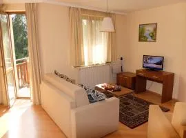 Borovets Apartment, Villa Park