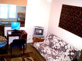 1 КОМ КВАРТИРА 1 ЭТАЖ 3 дивана, WI-FI, центр города, САДОВАЯ-ЧКАЛОВА "СИЛЬПО" и "АТБ" отдельный дом 2 этажа