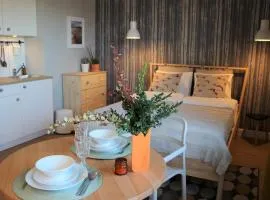 Apartament Studio 208