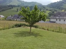 Gîte Etchegoyhen