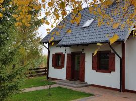 4 Pory Kaszub - Domek z banią i sauną, family hotel in Skoszewo