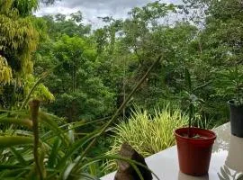San Rafael Ecolodge