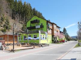 Action Forest Hotel Titisee - nähe Badeparadies，蒂蒂湖－新城的飯店