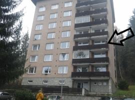 HARMONY Apartment, hotel v Janských Lázních