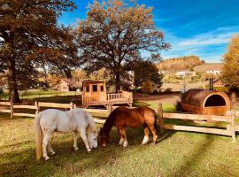 Ma Roulotte sous les Ch&ecirc;nes "la passionn&eacute;e", camping &agrave; Raon-aux-Bois