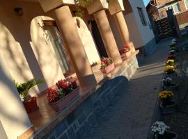 Nárcisz B&B, bed and breakfast en Corund