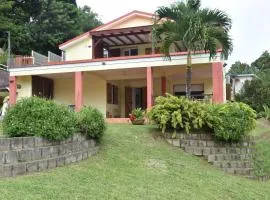 Haut de villa dans son écrin de verdure