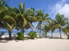 ジャメラー ビーチ ゲスト ハウス、にあるSeychelles International Airport - SEZの周辺ホテル